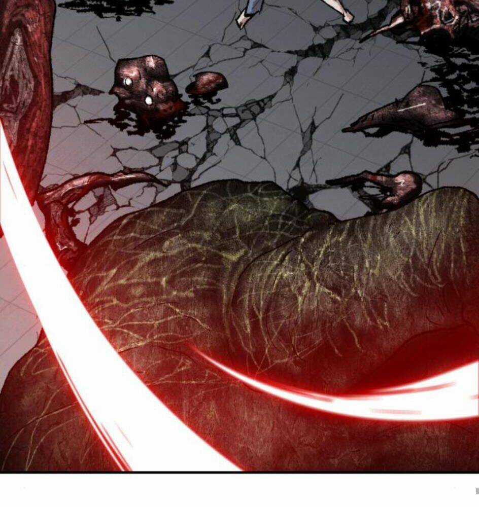 Phá Bỏ Giới Hạn Chapter 63 trang 264