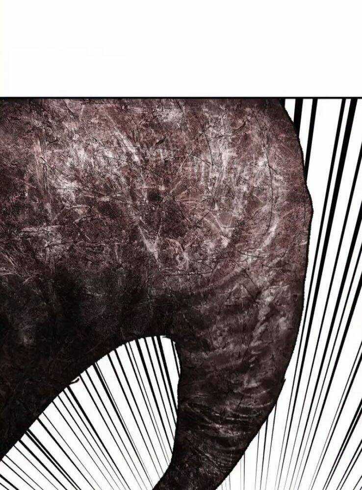 Phá Bỏ Giới Hạn Chapter 65 trang 188