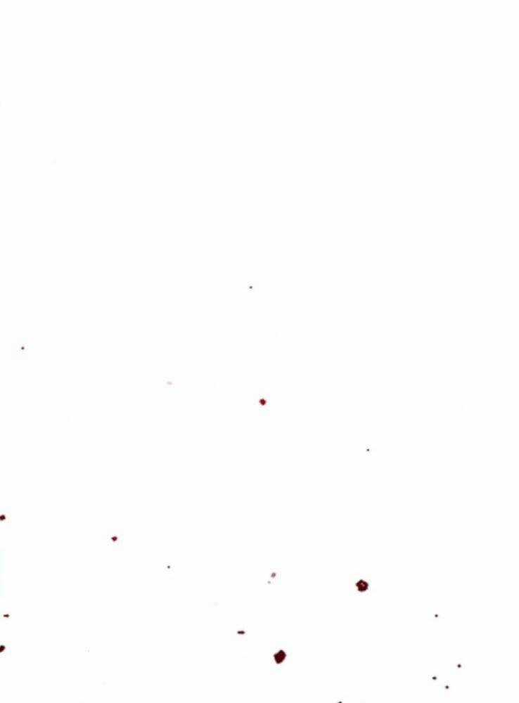 Phá Bỏ Giới Hạn Chapter 65 trang 211