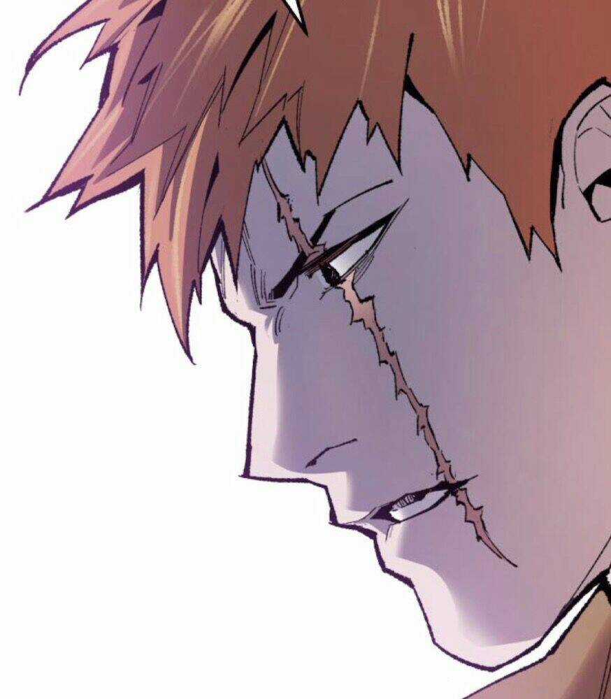 Phá Bỏ Giới Hạn Chapter 66 trang 237