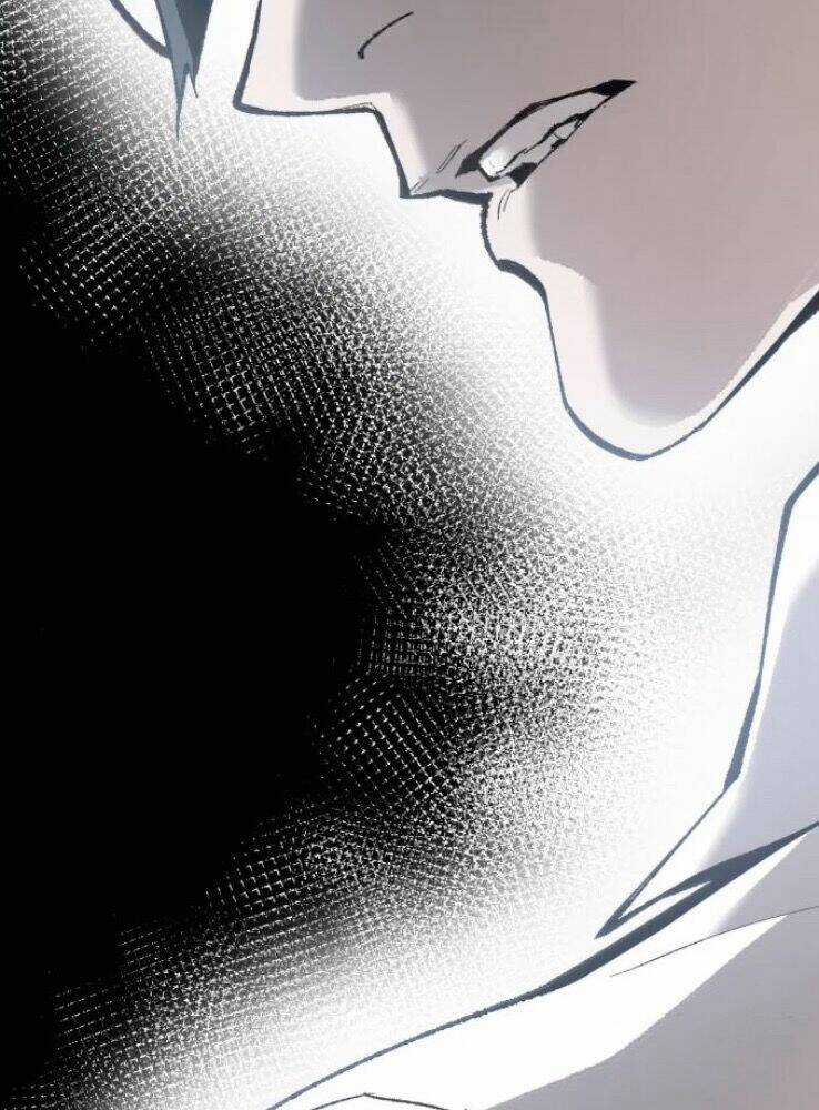 Phá Bỏ Giới Hạn Chapter 67 trang 250