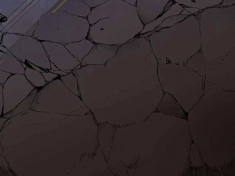 Phá Bỏ Giới Hạn Chapter 69.5 trang 133