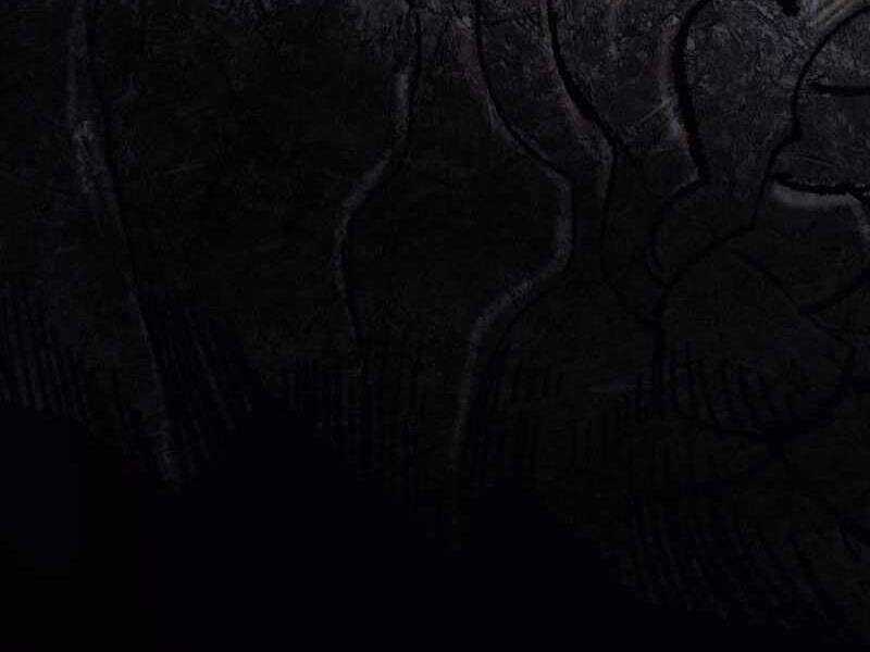 Phá Bỏ Giới Hạn Chapter 69.5 trang 141