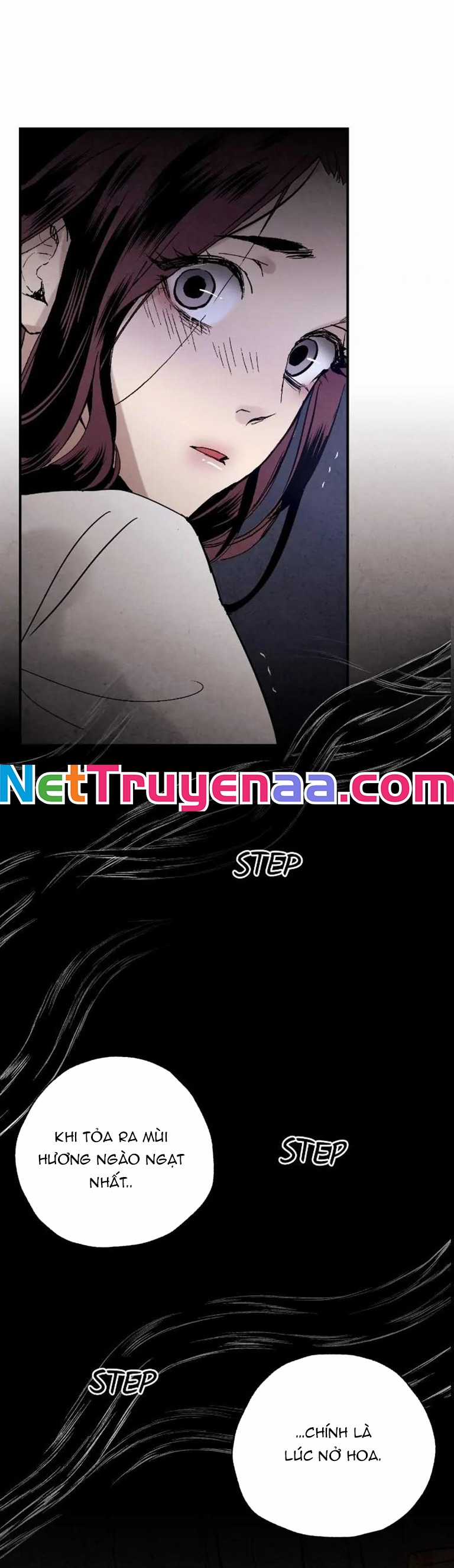 Pha Lê Xanh Chapter 13 trang 21