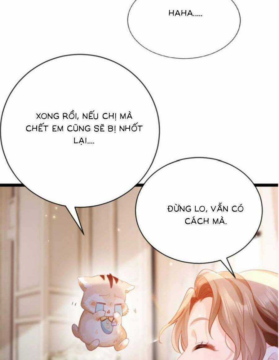 Phá Vỡ Kế Hoạch Của Tra Nam Tôi Về Bên Đại Boss Chapter 2 trang 37