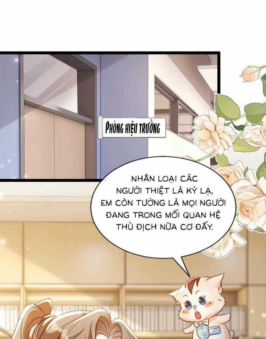 Phá Vỡ Kế Hoạch Của Tra Nam Tôi Về Bên Đại Boss Chapter 27 trang 6