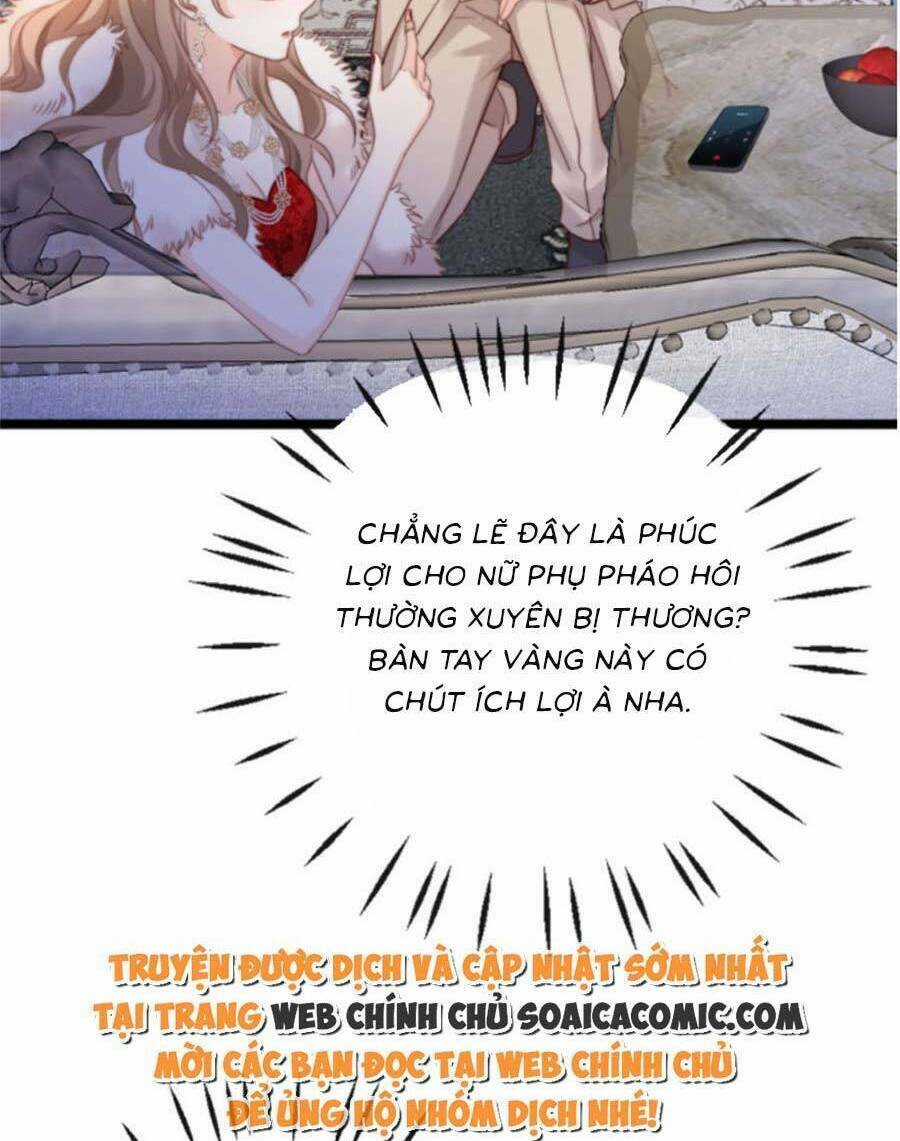 Phá Vỡ Kế Hoạch Của Tra Nam Tôi Về Bên Đại Boss Chapter 3 trang 46