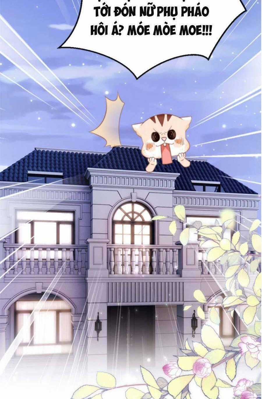 Phá Vỡ Kế Hoạch Của Tra Nam Tôi Về Bên Đại Boss Chapter 3 trang 62