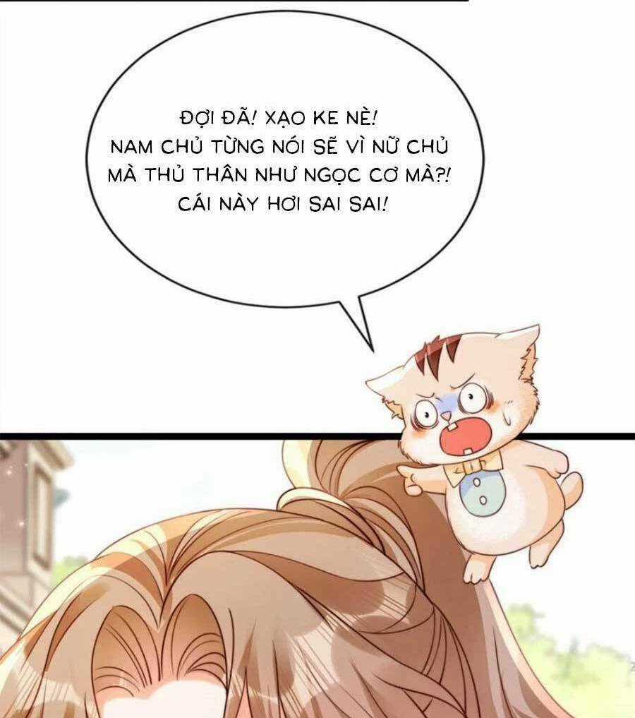 Phá Vỡ Kế Hoạch Của Tra Nam Tôi Về Bên Đại Boss Chapter 31 trang 24