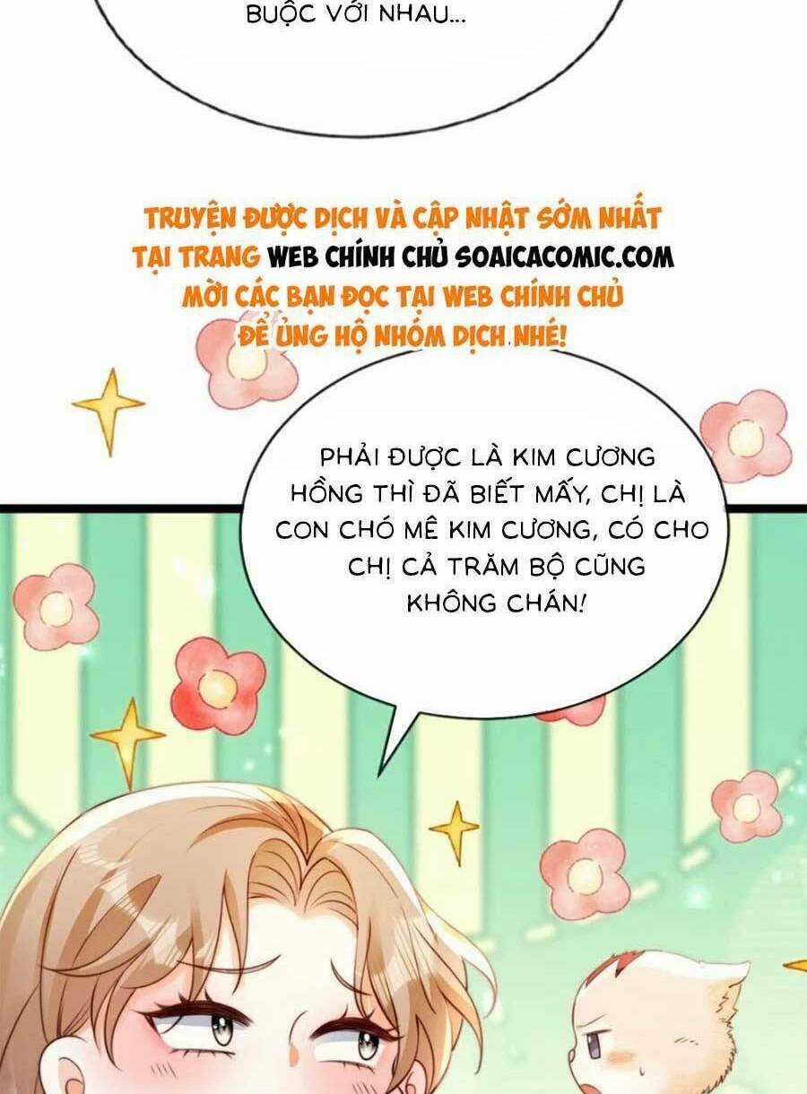 Phá Vỡ Kế Hoạch Của Tra Nam Tôi Về Bên Đại Boss Chapter 31 trang 45