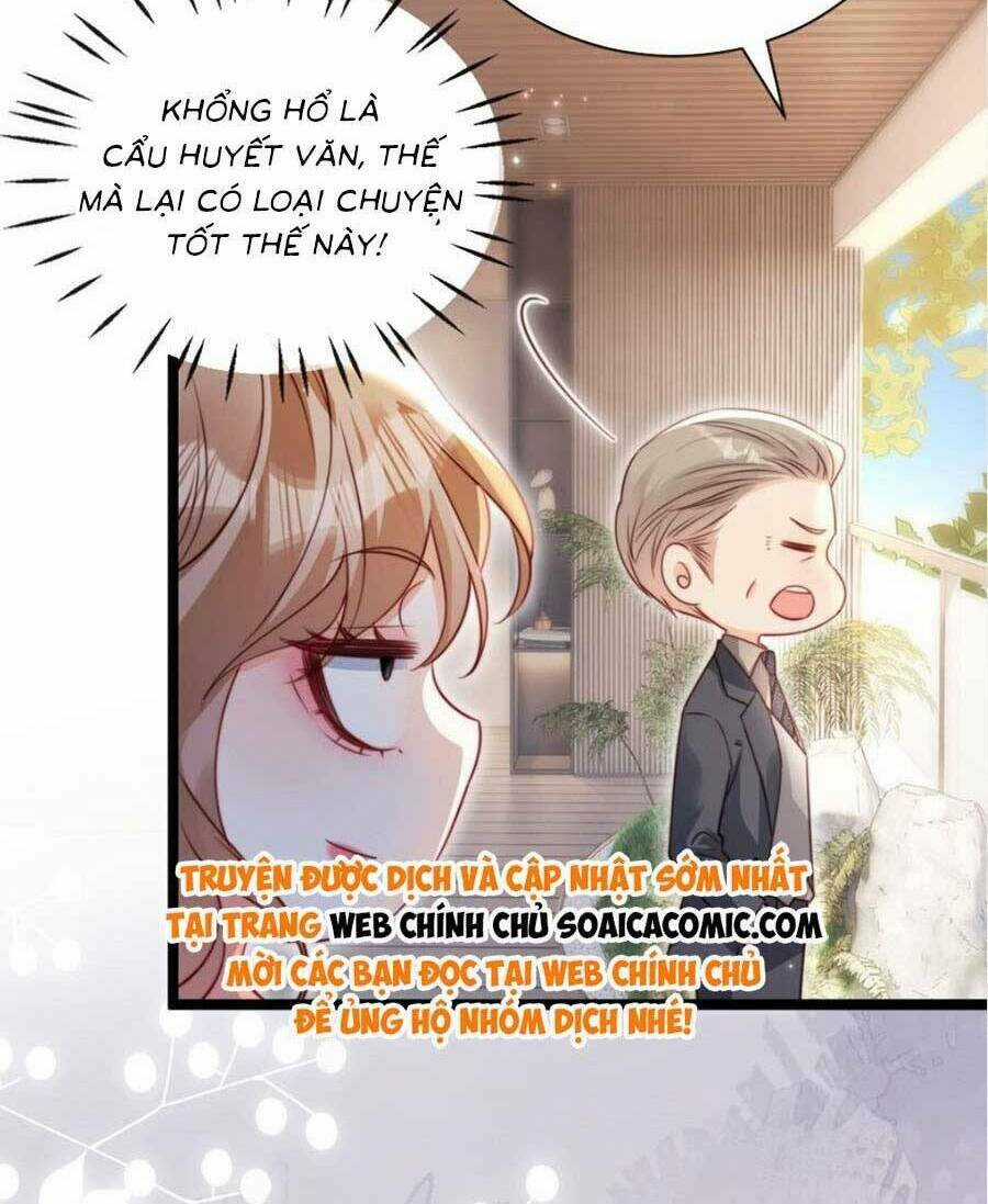 Phá Vỡ Kế Hoạch Của Tra Nam Tôi Về Bên Đại Boss Chapter 33 trang 41