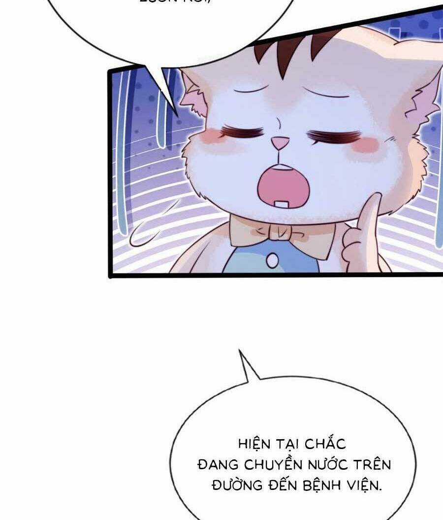 Phá Vỡ Kế Hoạch Của Tra Nam Tôi Về Bên Đại Boss Chapter 35 trang 51