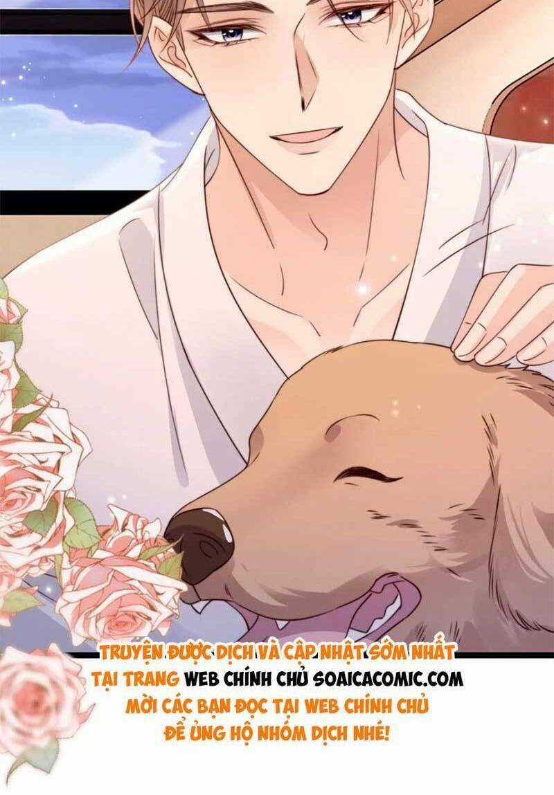 Phá Vỡ Kế Hoạch Của Tra Nam Tôi Về Bên Đại Boss Chapter 49 trang 6