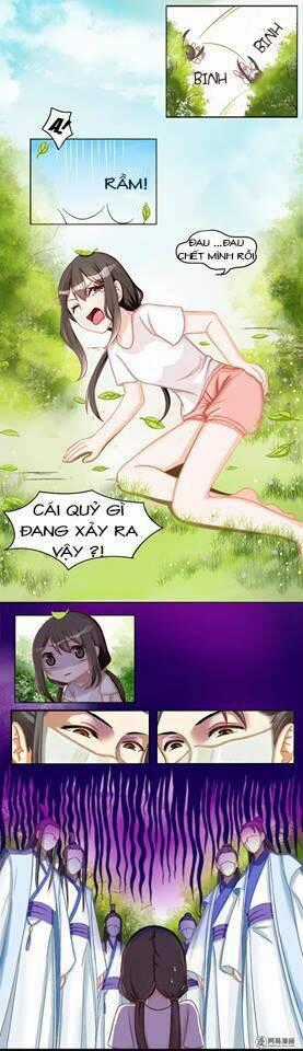 Phác Đảo Sư Tôn Đại Nhân Chapter 1 trang 14