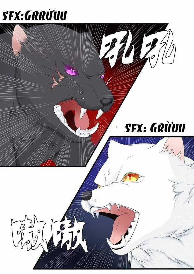 Phác Đảo Sư Tôn Đại Nhân Chapter 10 trang 18