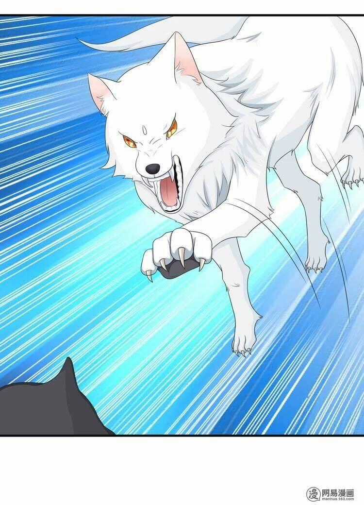 Phác Đảo Sư Tôn Đại Nhân Chapter 10 trang 19