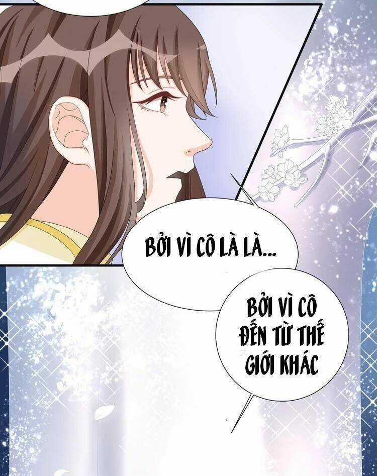 Phác Đảo Sư Tôn Đại Nhân Chapter 11 trang 13