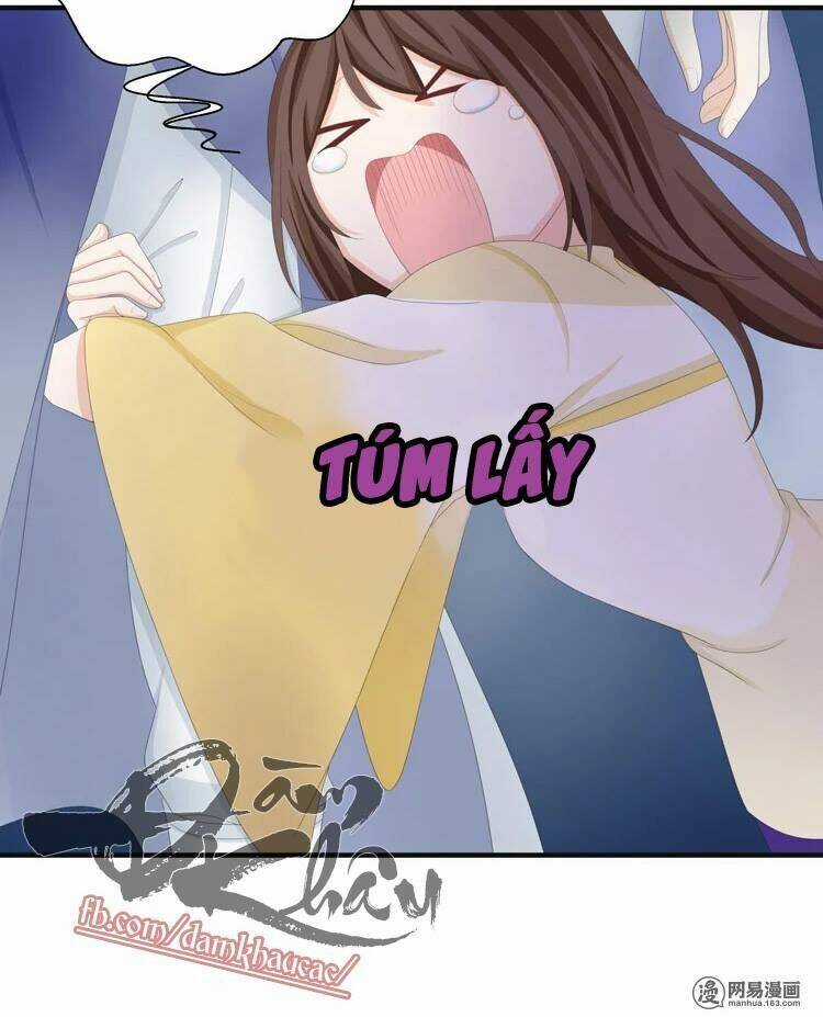 Phác Đảo Sư Tôn Đại Nhân Chapter 11 trang 16