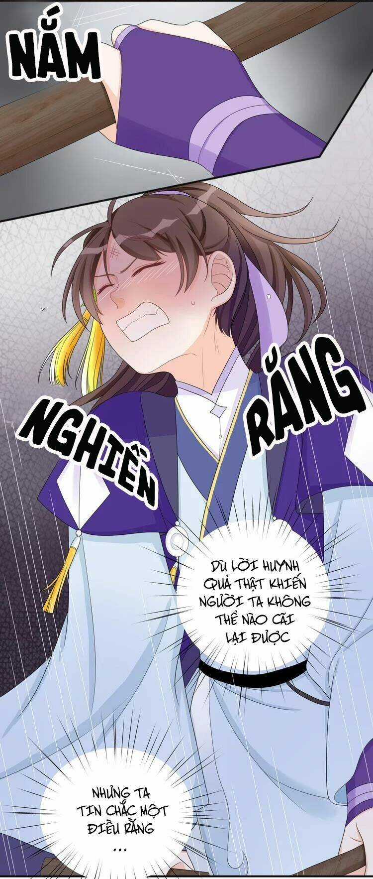 Phác Đảo Sư Tôn Đại Nhân Chapter 14 trang 11