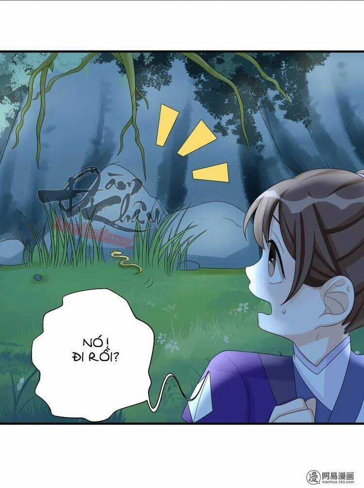 Phác Đảo Sư Tôn Đại Nhân Chapter 15 trang 17