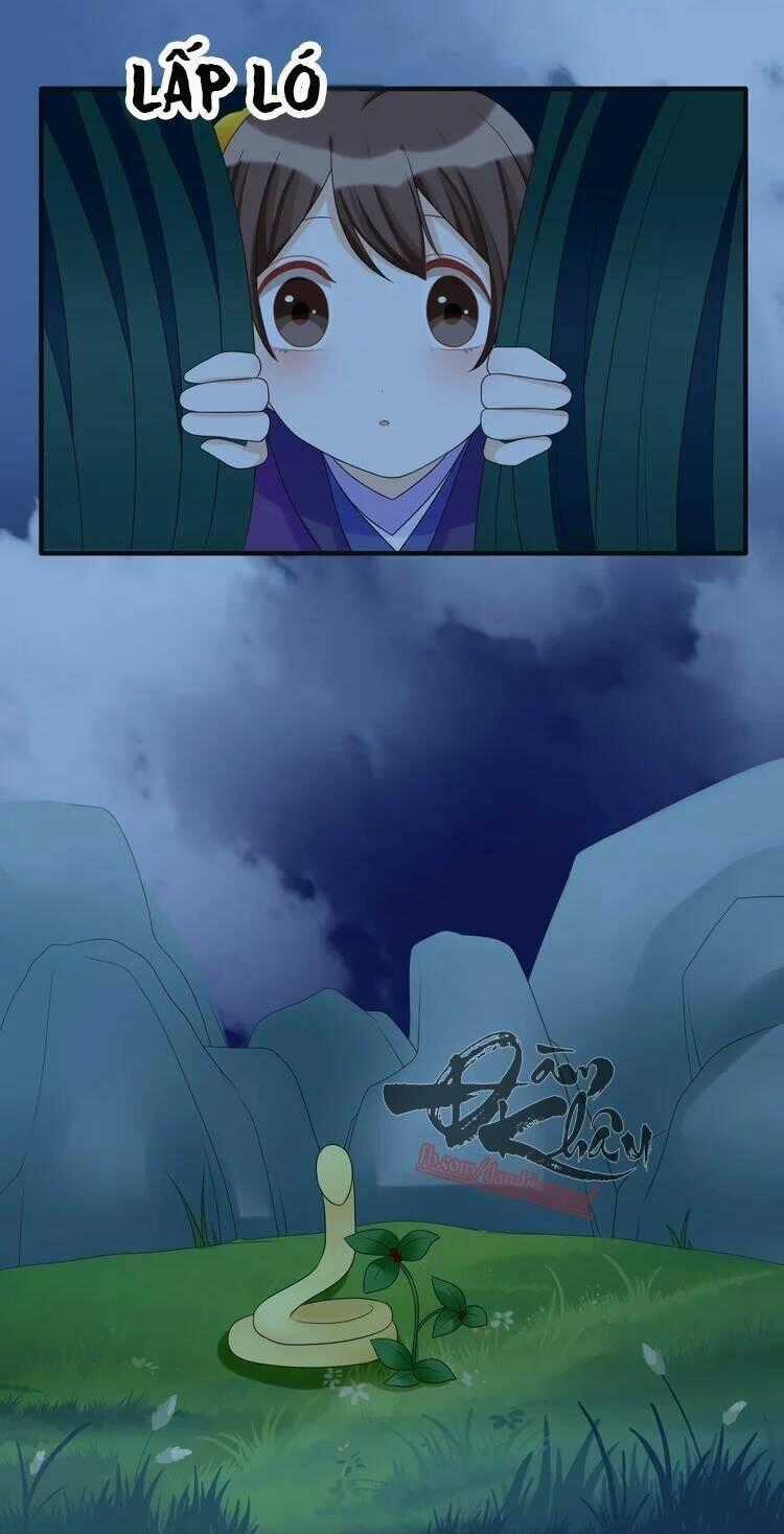 Phác Đảo Sư Tôn Đại Nhân Chapter 15 trang 19