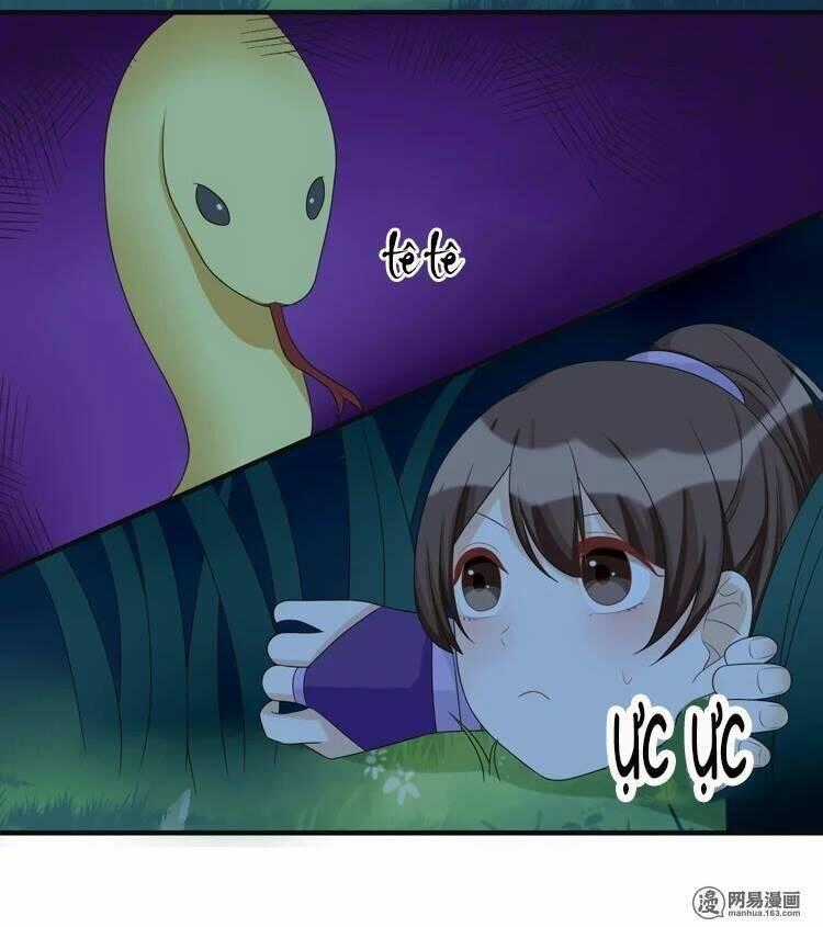 Phác Đảo Sư Tôn Đại Nhân Chapter 15 trang 20