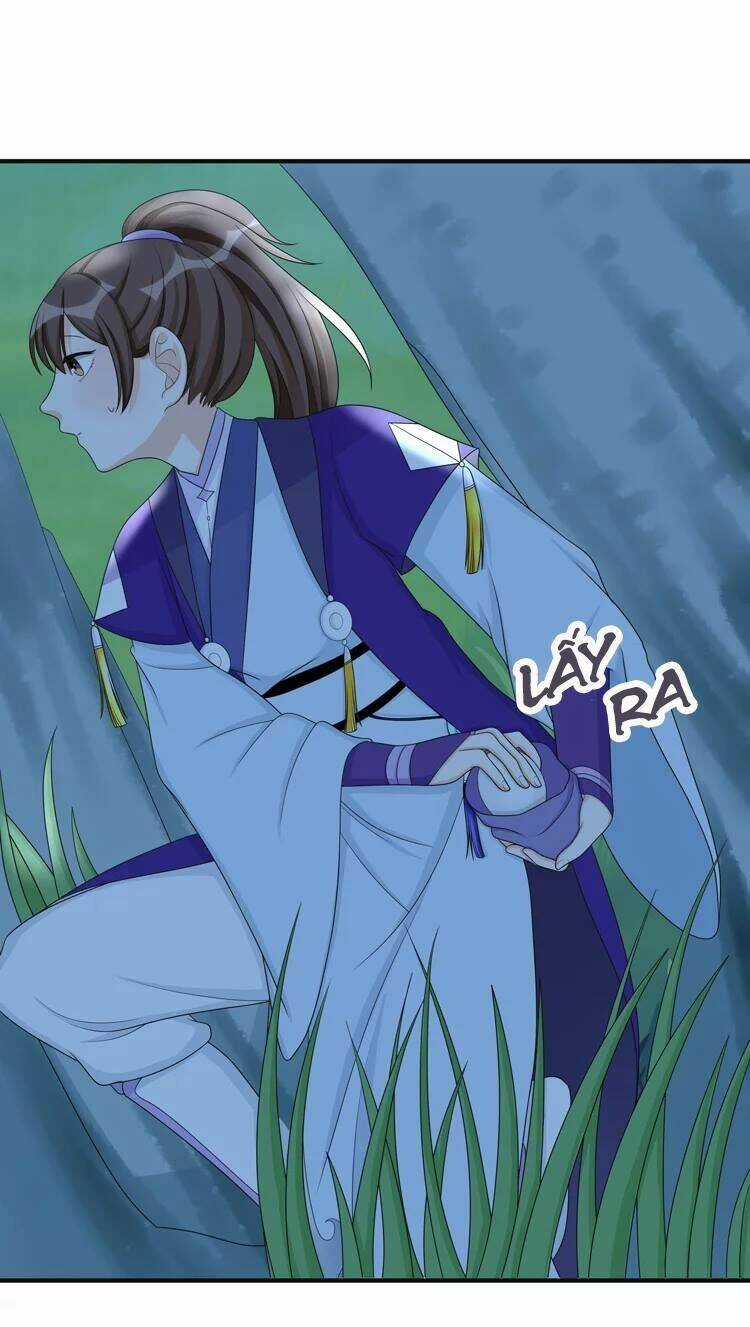 Phác Đảo Sư Tôn Đại Nhân Chapter 16 trang 3