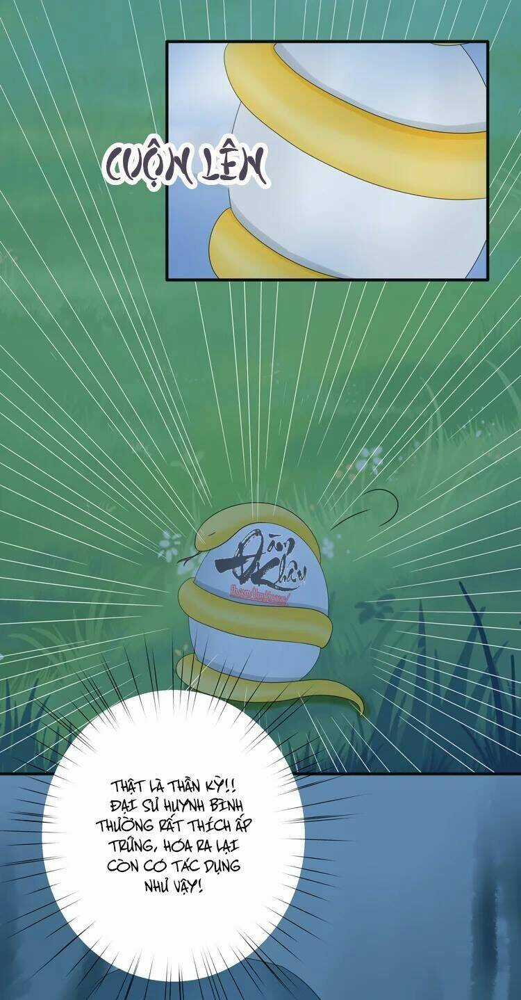 Phác Đảo Sư Tôn Đại Nhân Chapter 16 trang 5