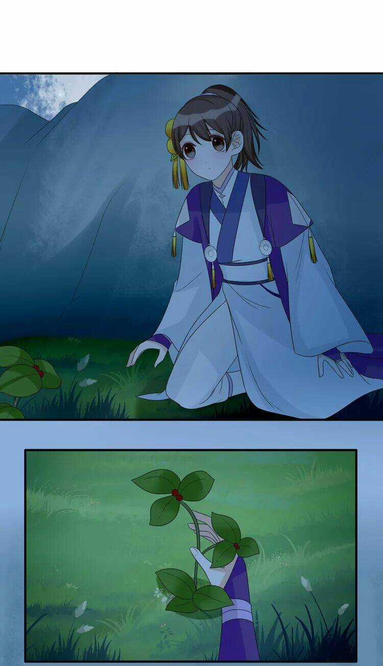 Phác Đảo Sư Tôn Đại Nhân Chapter 16 trang 7