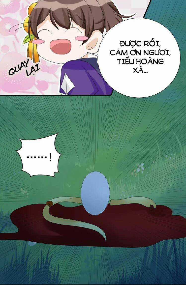 Phác Đảo Sư Tôn Đại Nhân Chapter 16 trang 9