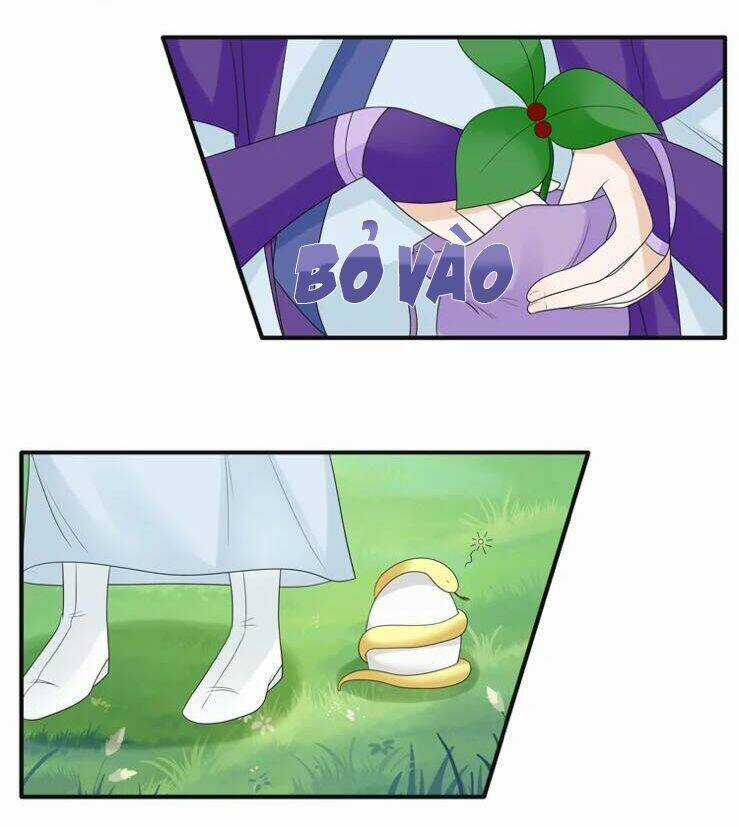 Phác Đảo Sư Tôn Đại Nhân Chapter 17 trang 21