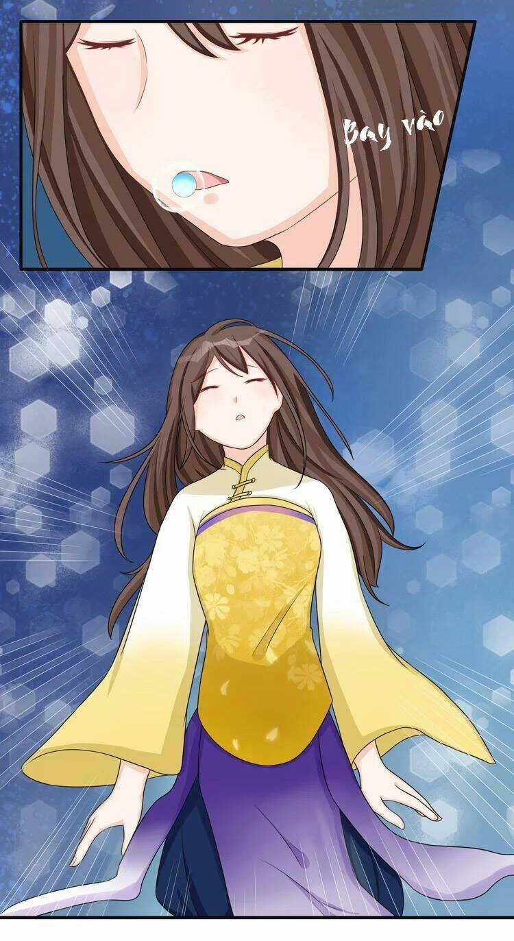 Phác Đảo Sư Tôn Đại Nhân Chapter 9 trang 3