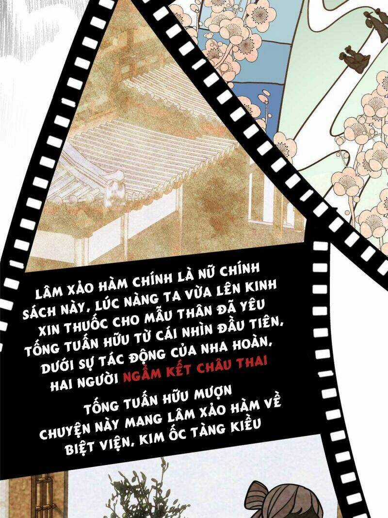 Pháo Hôi Cô Ấy Không Ưa Kịch Bản Này Lâu Rồi Chương 13 trang 8