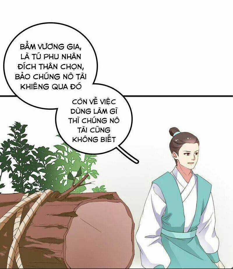 Pháo Hôi Nữ Xứng - Hoàn Khố Lệ Vương Phi Chapter 10 trang 9