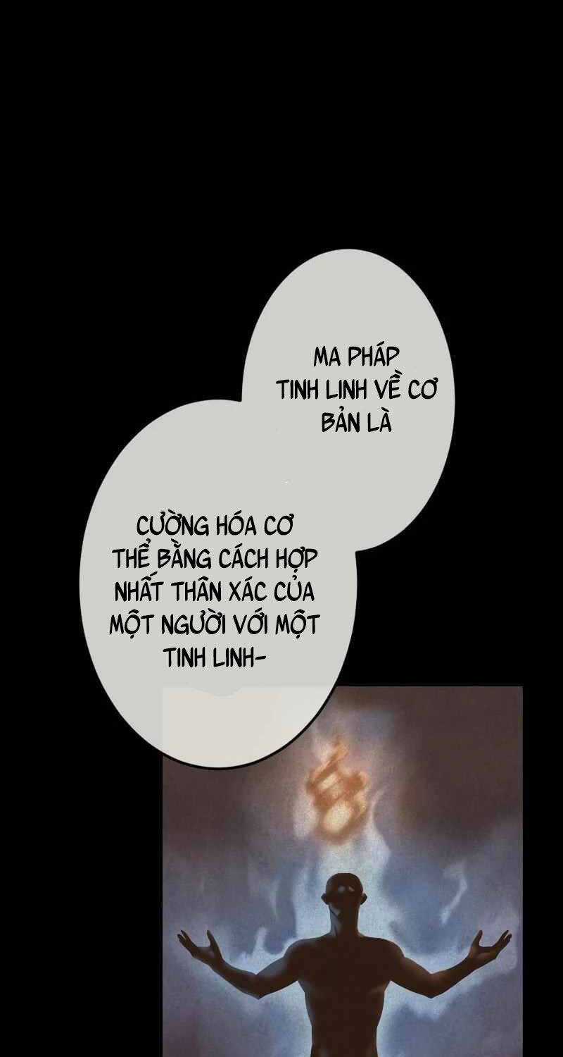 Pháp Sư Cận Chiến Hồi Quy Chapter 28 trang 10