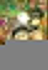 Pháp Sư Không Phép Thuật Chapter 67 trang 0