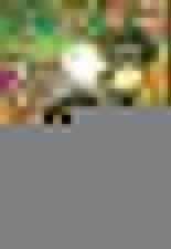 Pháp Sư Không Phép Thuật Chapter 76 trang 0