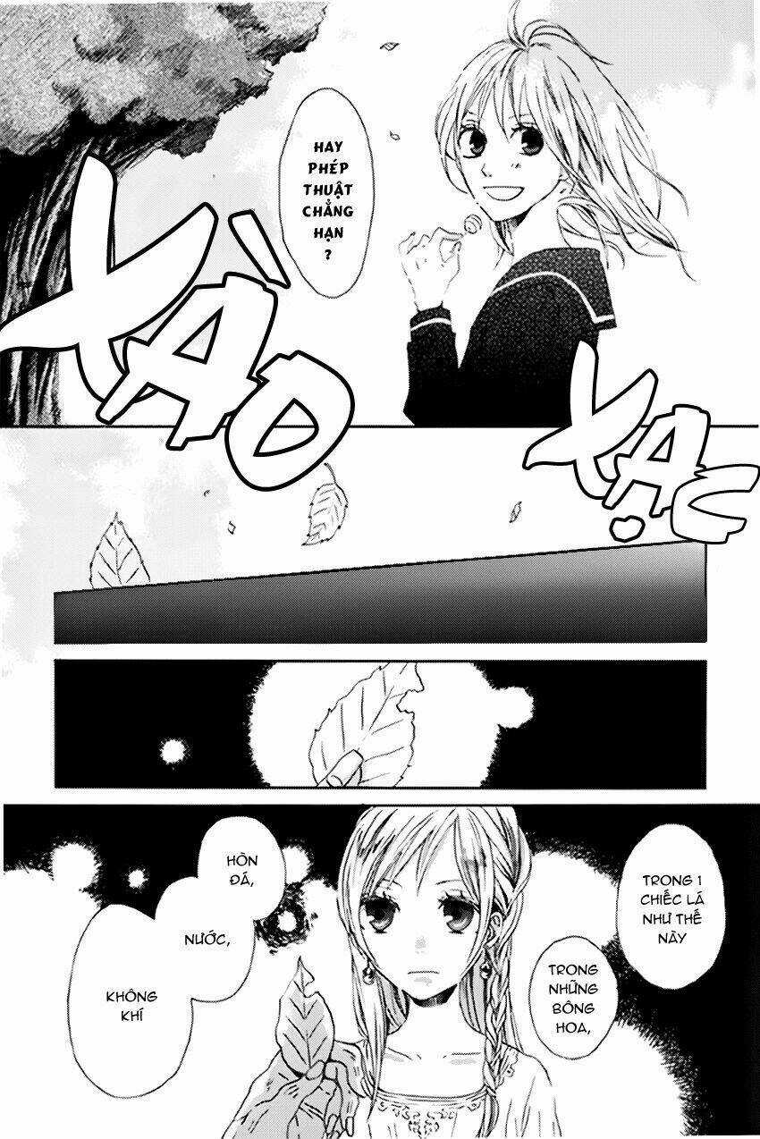 Phép Lạ Của Chúng Ta Chapter 0 trang 20