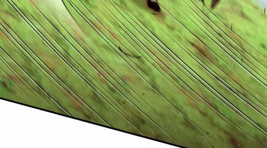 Phi Lôi Đao Thuật Chương 190 trang 262