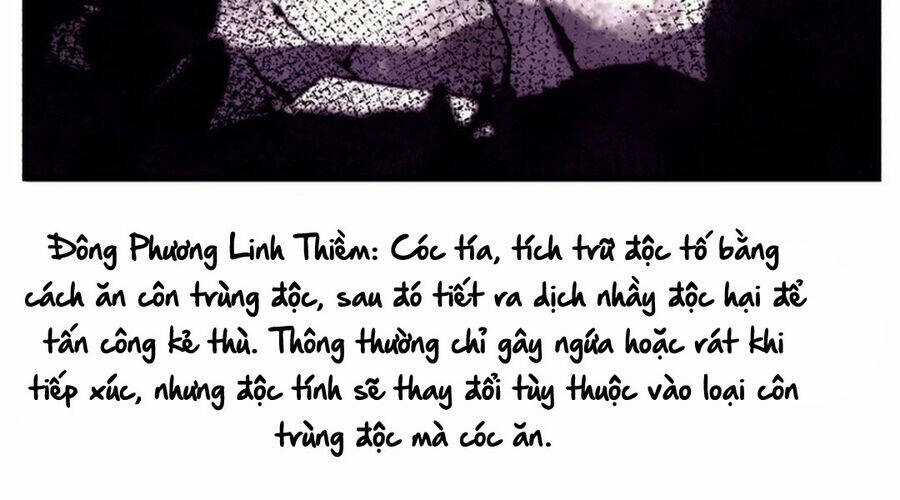 Phi Lôi Đao Thuật Chương 190 trang 67