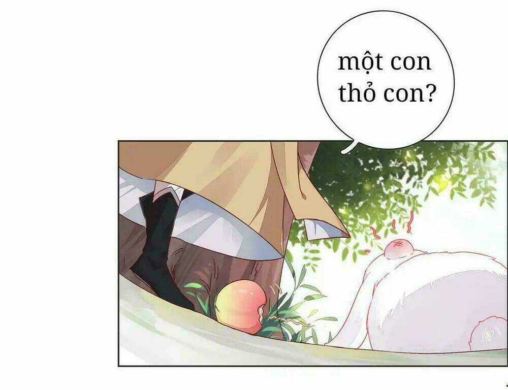 Phi Thiên Địch Tự Dưỡng Đích Khẩu Tử Chapter 1 trang 11