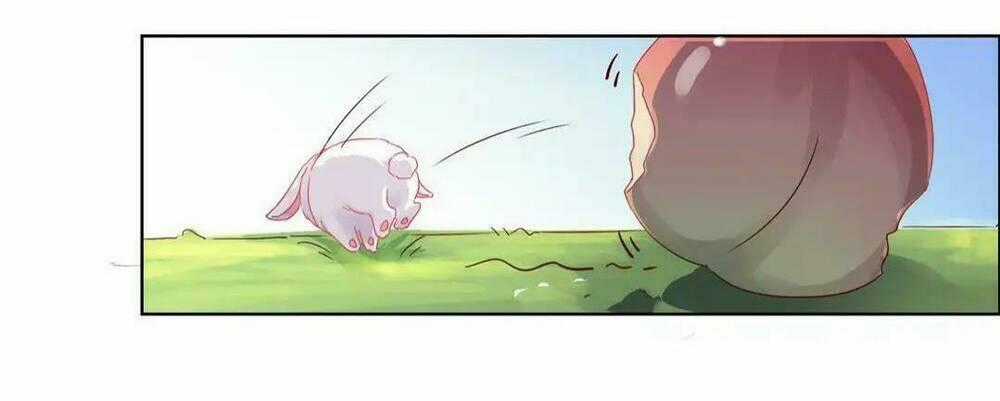 Phi Thiên Địch Tự Dưỡng Đích Khẩu Tử Chapter 1 trang 19