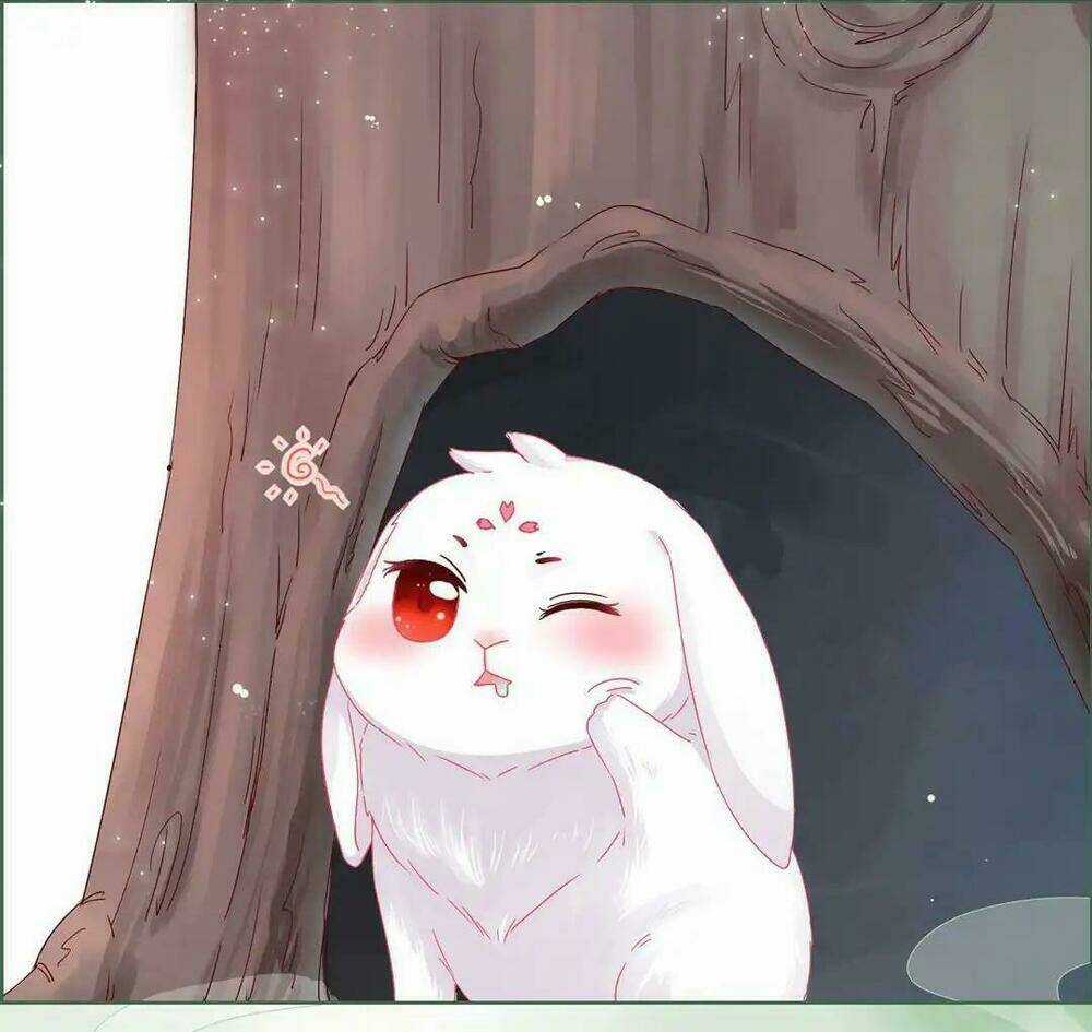 Phi Thiên Địch Tự Dưỡng Đích Khẩu Tử Chapter 1 trang 5