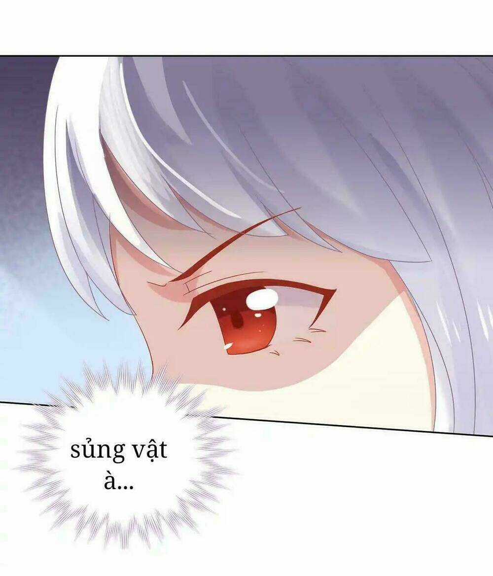 Phi Thiên Địch Tự Dưỡng Đích Khẩu Tử Chapter 11 trang 13