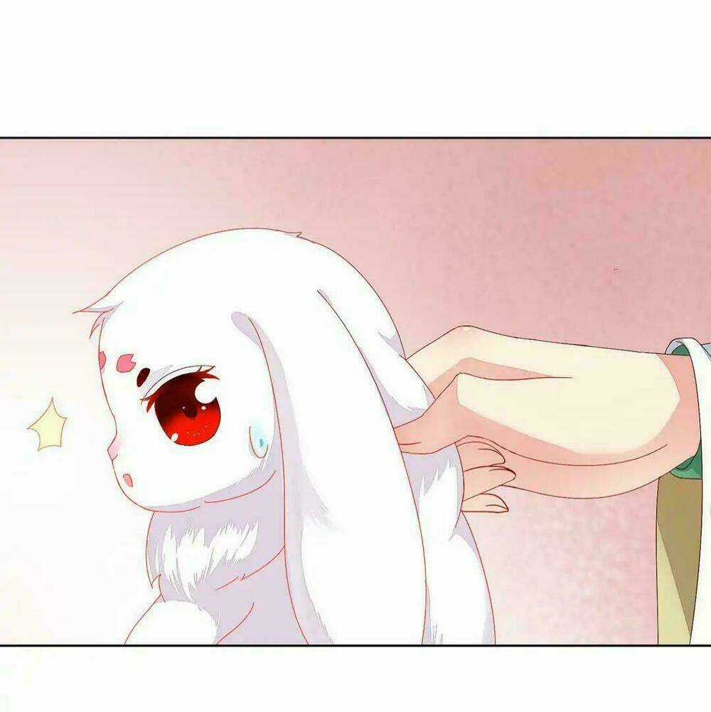 Phi Thiên Địch Tự Dưỡng Đích Khẩu Tử Chapter 11 trang 22