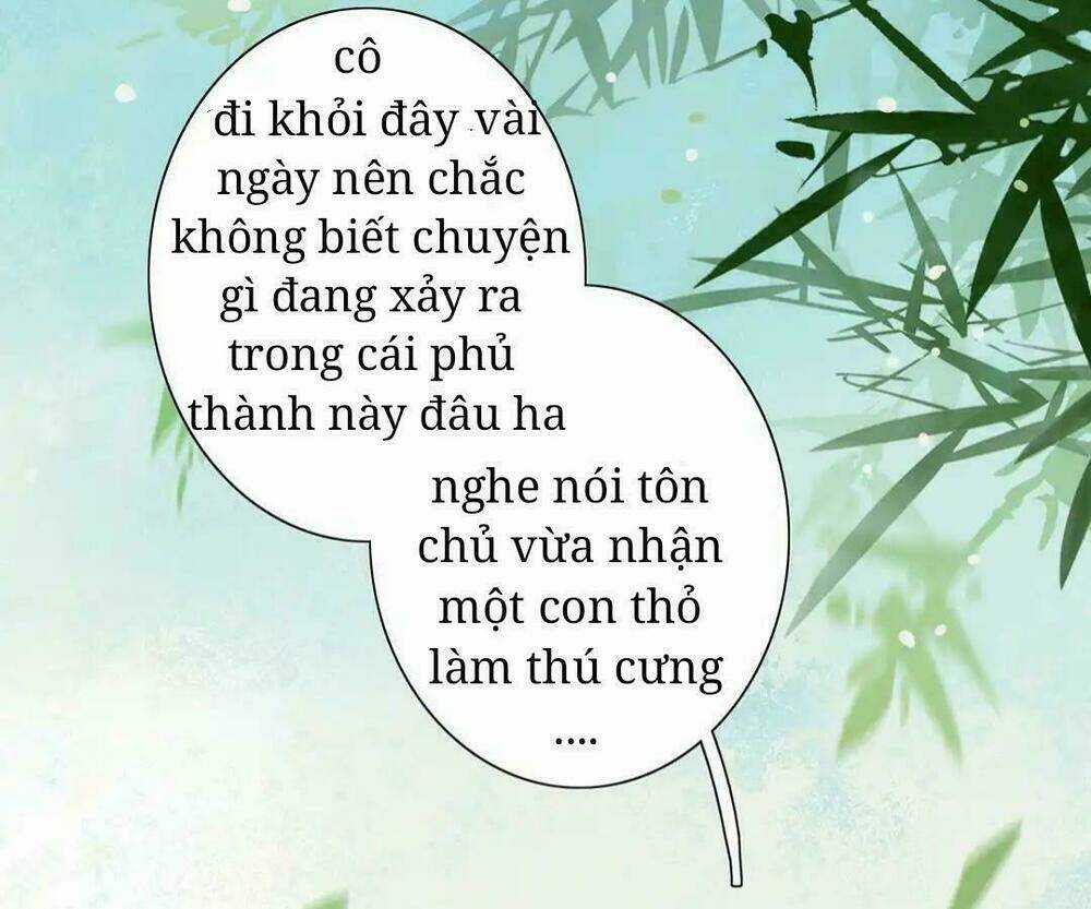 Phi Thiên Địch Tự Dưỡng Đích Khẩu Tử Chapter 11 trang 9