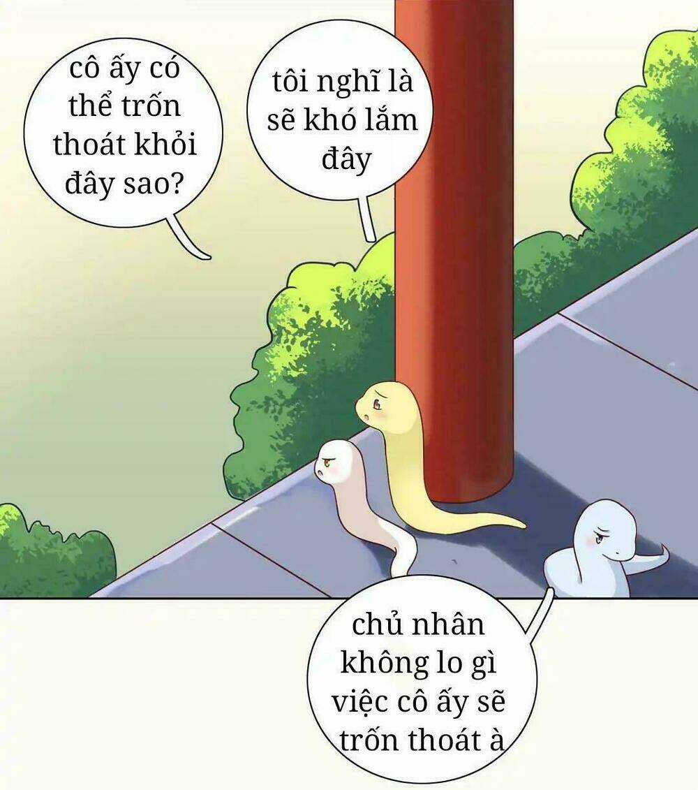 Phi Thiên Địch Tự Dưỡng Đích Khẩu Tử Chapter 12 trang 12