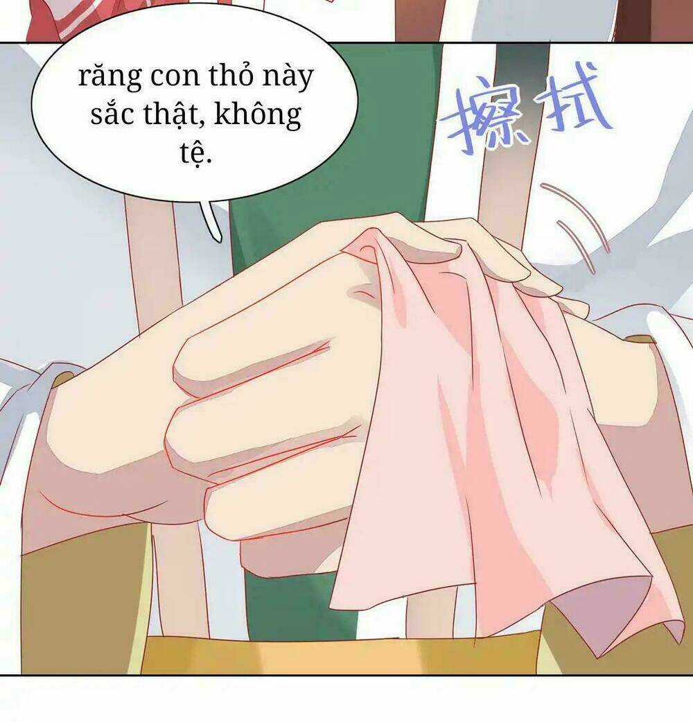 Phi Thiên Địch Tự Dưỡng Đích Khẩu Tử Chapter 12 trang 3