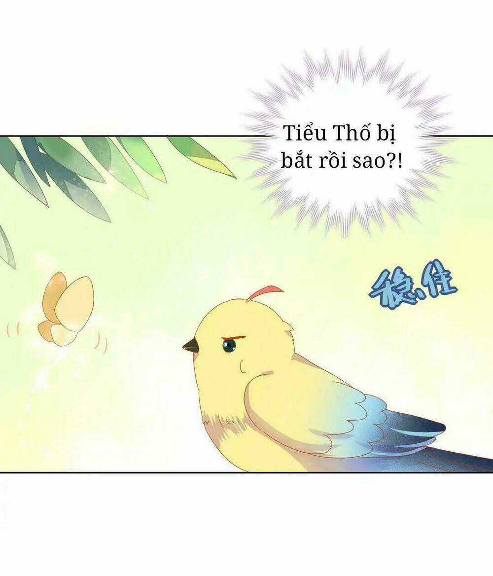 Phi Thiên Địch Tự Dưỡng Đích Khẩu Tử Chapter 13 trang 4