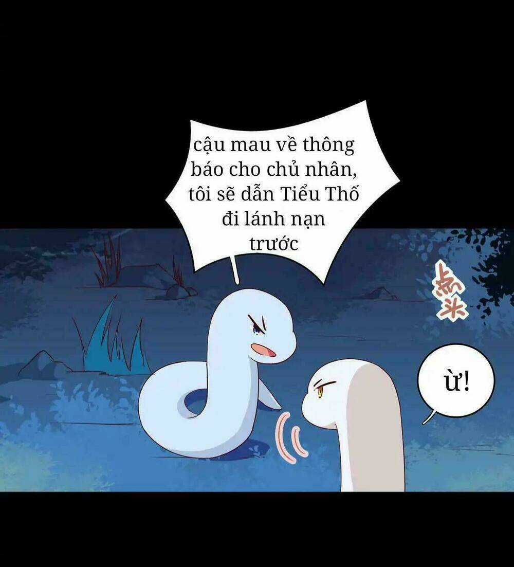 Phi Thiên Địch Tự Dưỡng Đích Khẩu Tử Chapter 19 trang 5